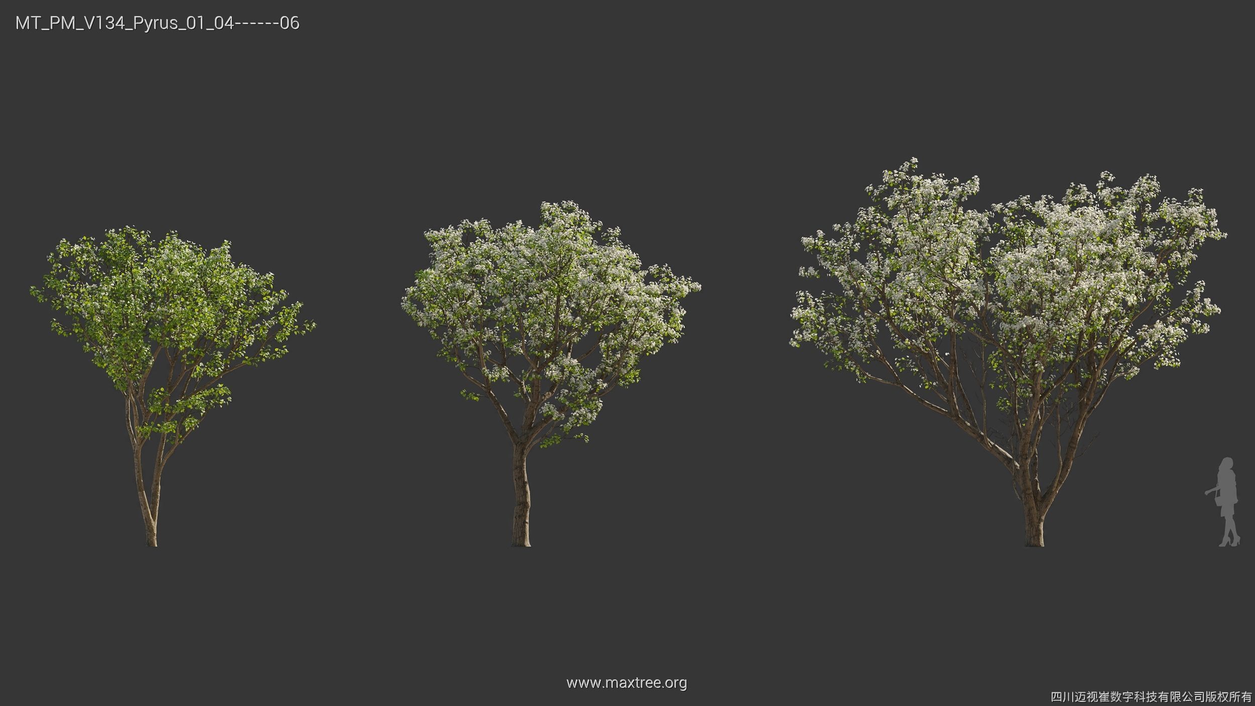 Maxtree Plant Models Vol 134 - Mesh 3D model_38