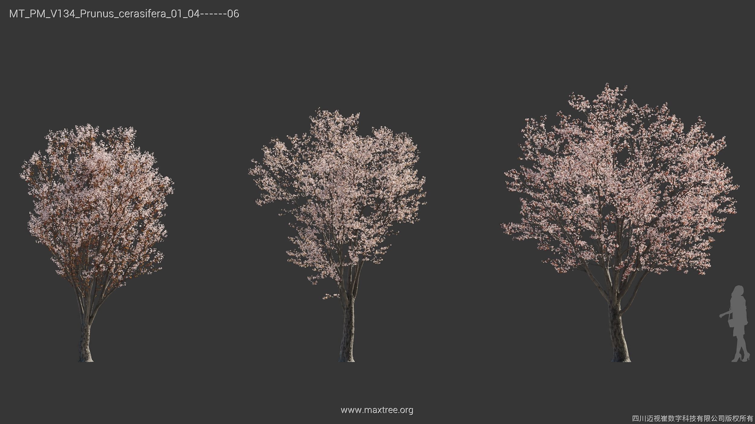 Maxtree Plant Models Vol 134 - Mesh 3D model_29