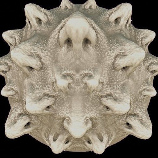 Vdm Organic and Hard Surface Variety Set Texture_25