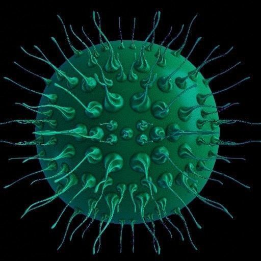 Vdm Organic and Hard Surface Variety Set Texture_13