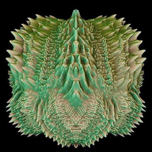 Vdm Organic and Hard Surface Variety Set Texture_27