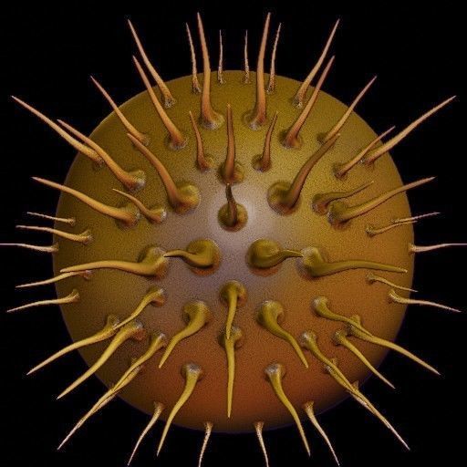 Vdm Organic and Hard Surface Variety Set Texture_31