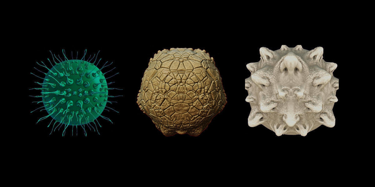 Vdm Organic and Hard Surface Variety Set Texture_5