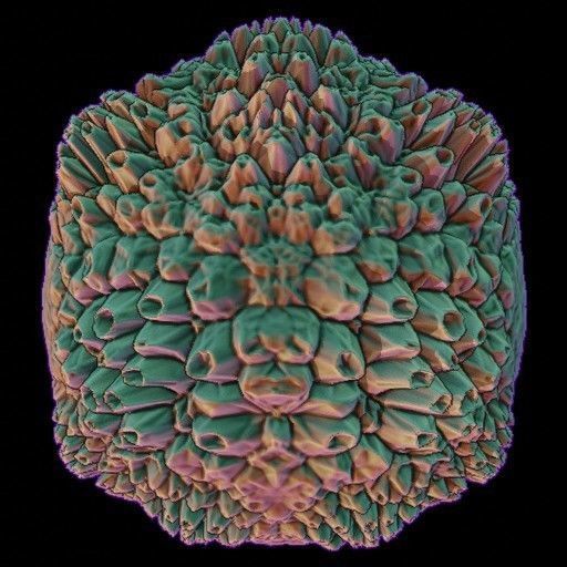 Vdm Organic and Hard Surface Variety Set Texture_33