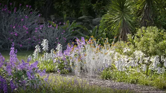 Maxtree Plant Models Vol 135 - Mesh