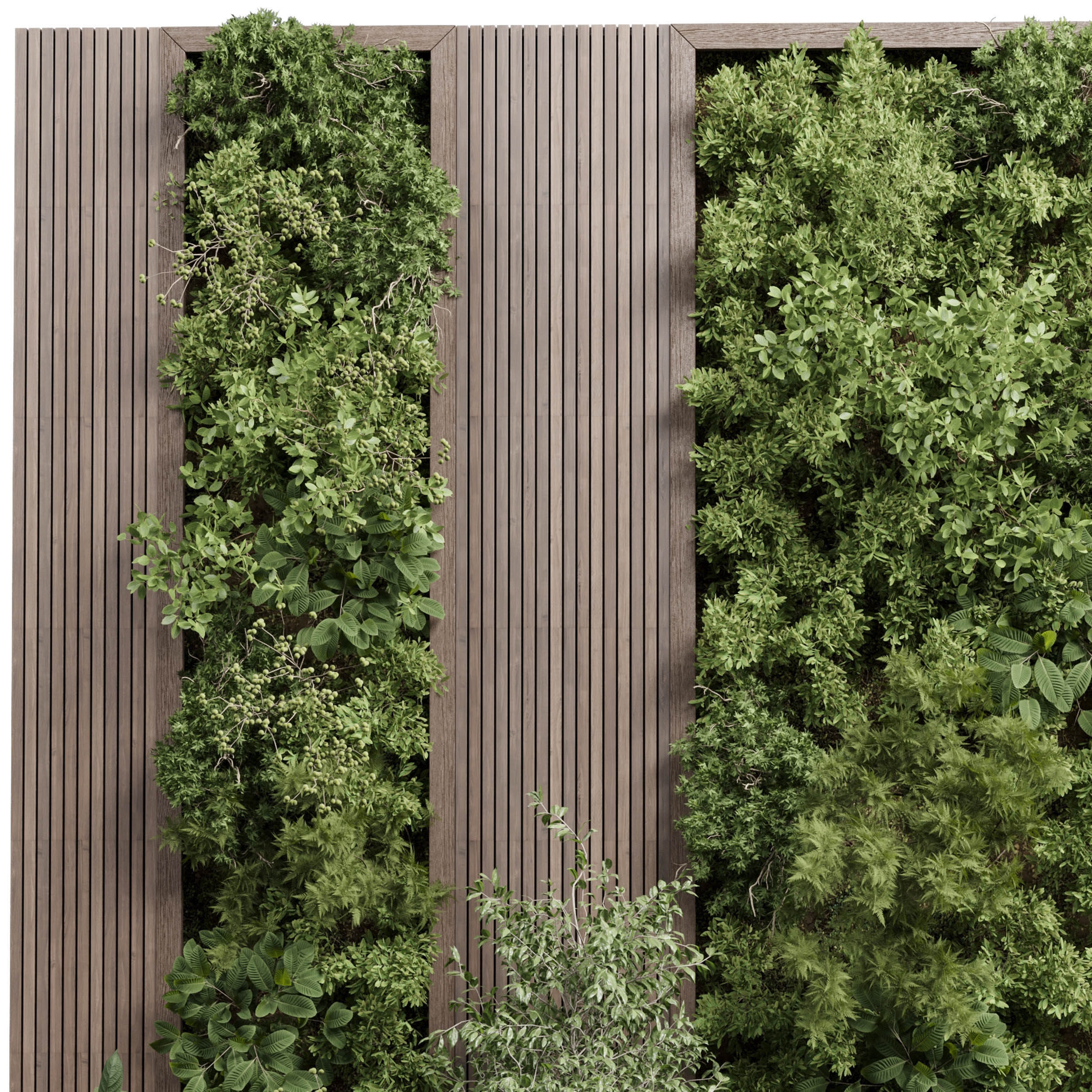 Vertical Wall Garden With Wooden frame - Horizontal garden Low-poly 3D model_2