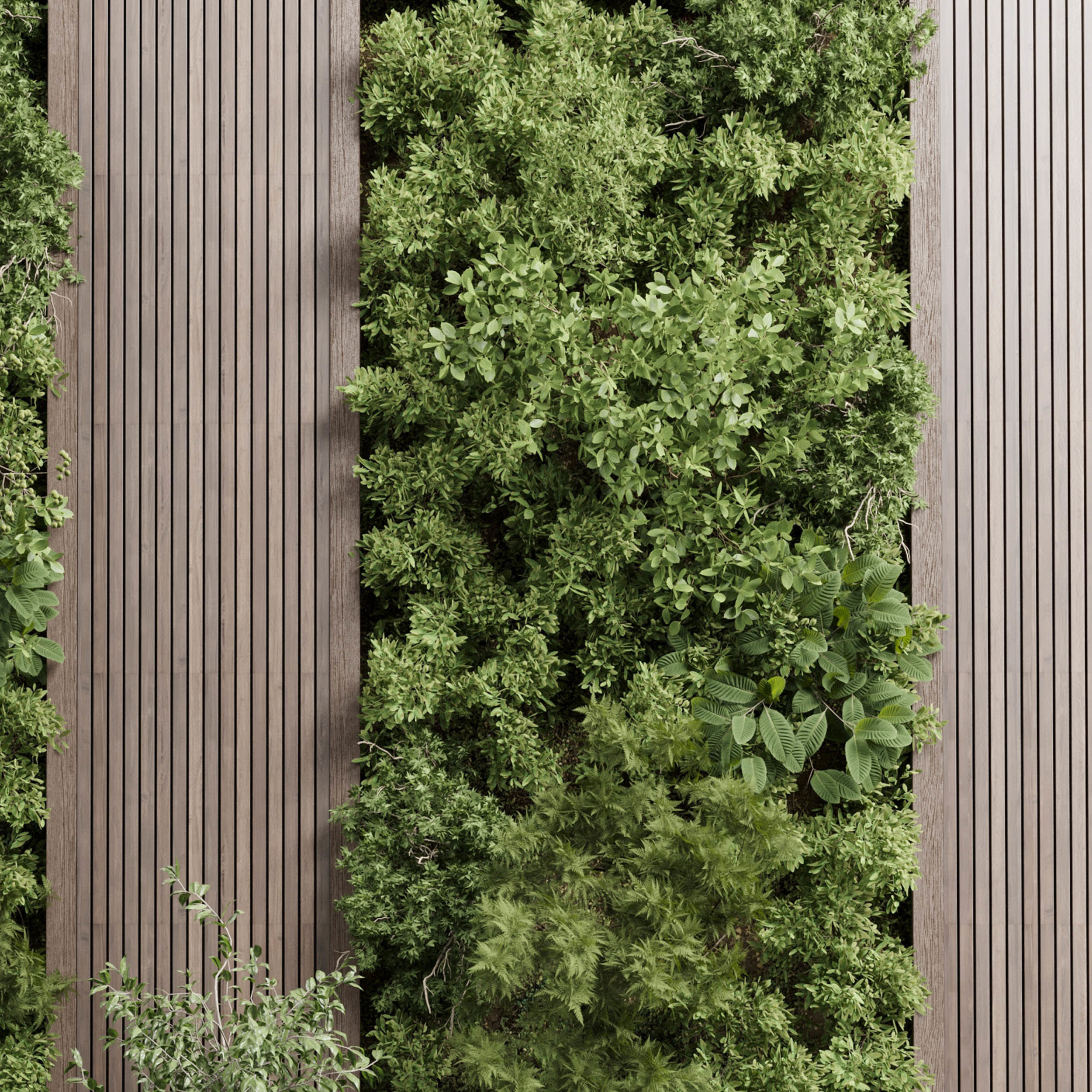 Vertical Wall Garden With Wooden frame - Horizontal garden Low-poly 3D model_3