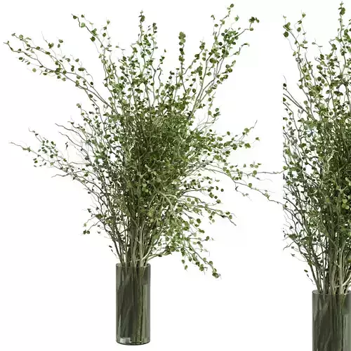 Branches plant with galss vase green - bouquet 40