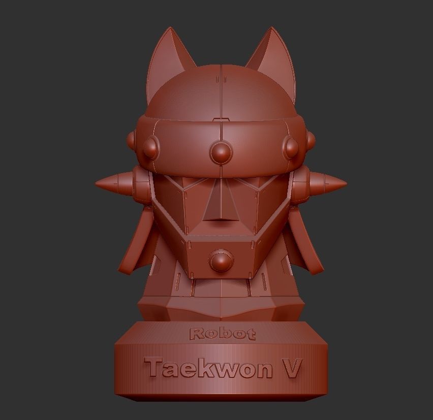Tewkwon V Head 3D print model_10