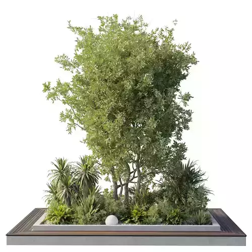 Garden of Plants Tree shrubs and palms - outdoor garden set 174 Low-poly 3D model