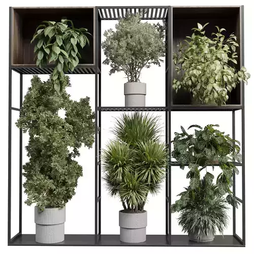 Standing metal shelf with a set of plants in wooden