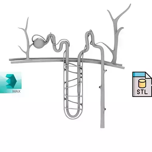 Printable Nephron Anatomy 3D print model
