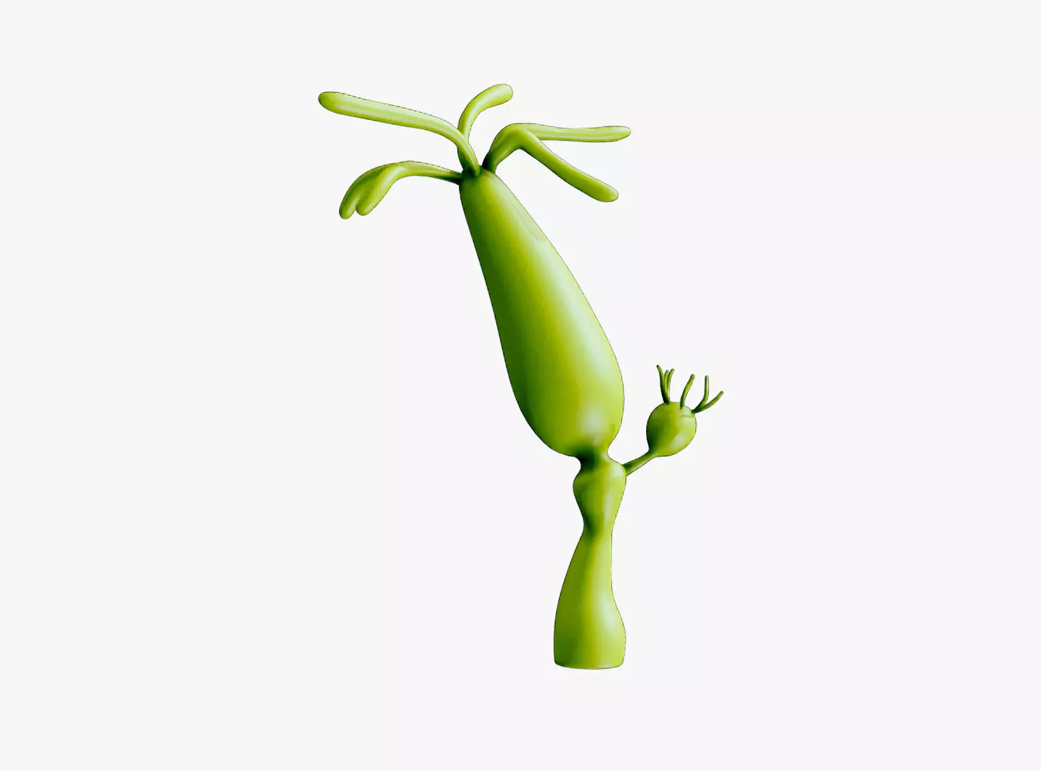 Hydra genus Low-poly 3D model_0