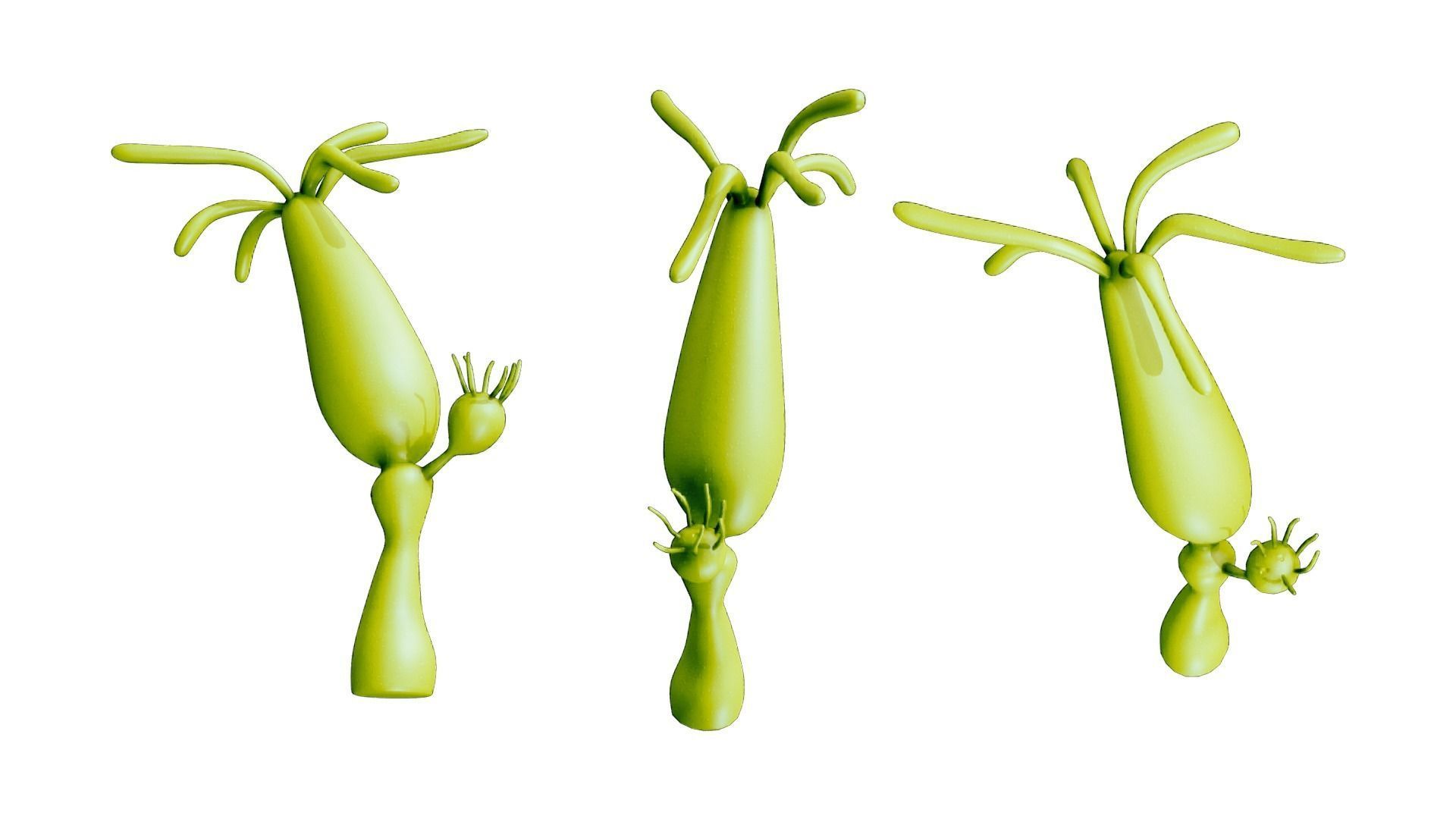 Hydra genus Low-poly 3D model_1