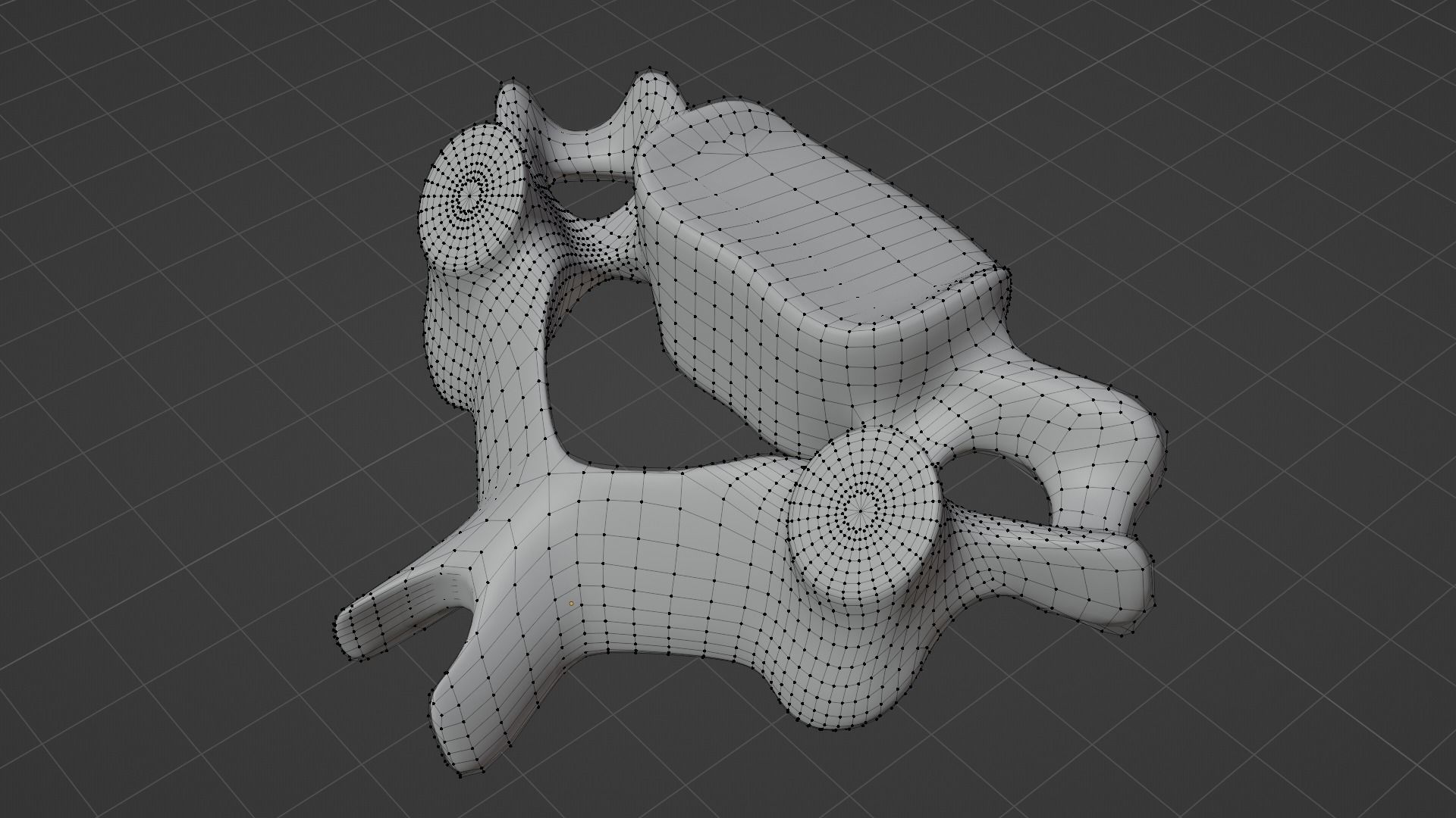The Fifth Cervial Vertebra 3D model_6