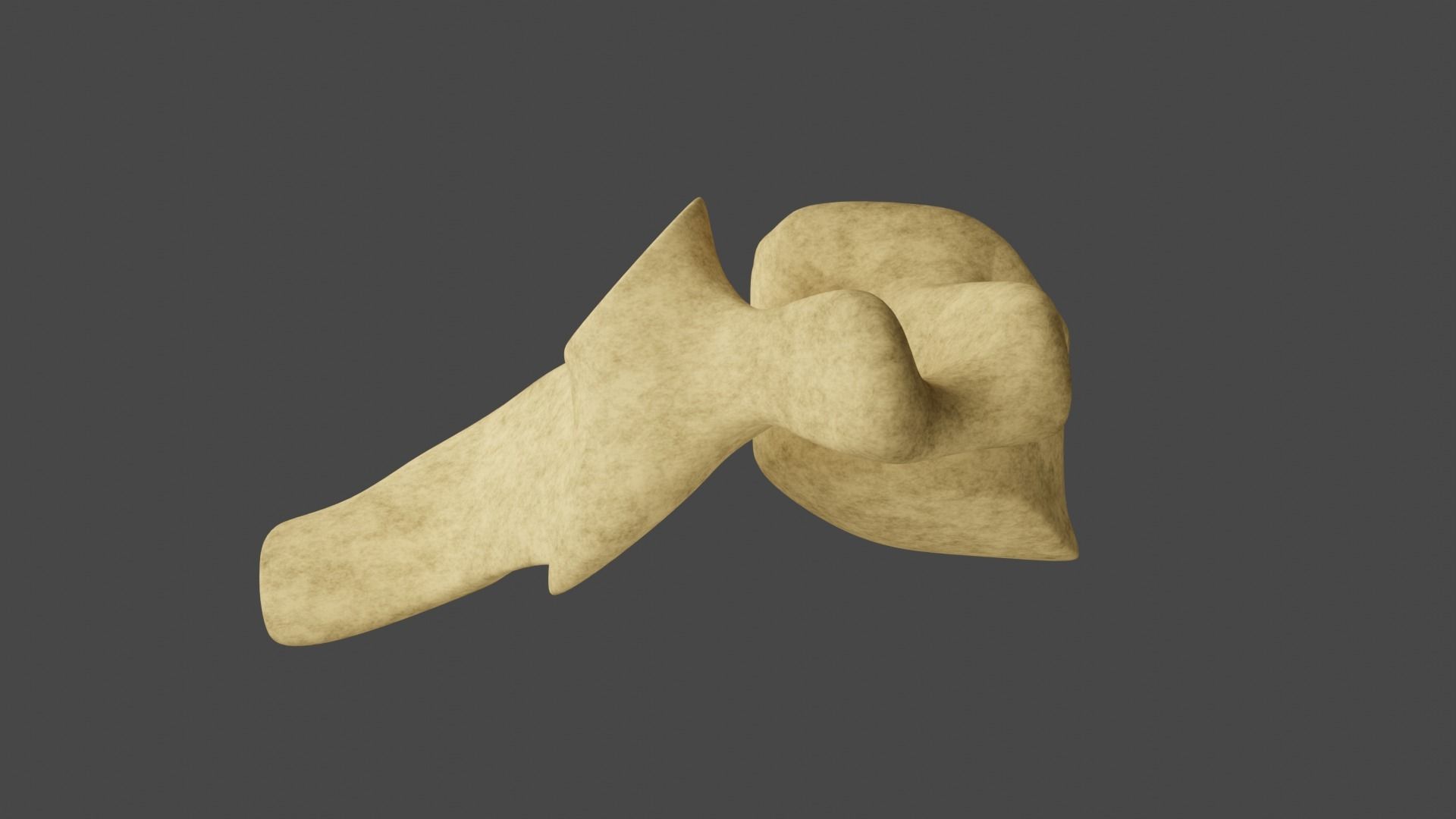 The Fifth Cervial Vertebra 3D model_4