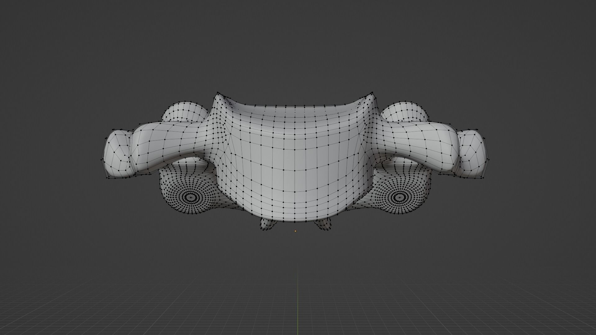The Fifth Cervial Vertebra 3D model_8