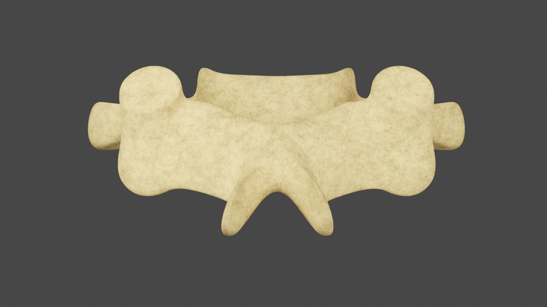 The Fifth Cervial Vertebra 3D model_1