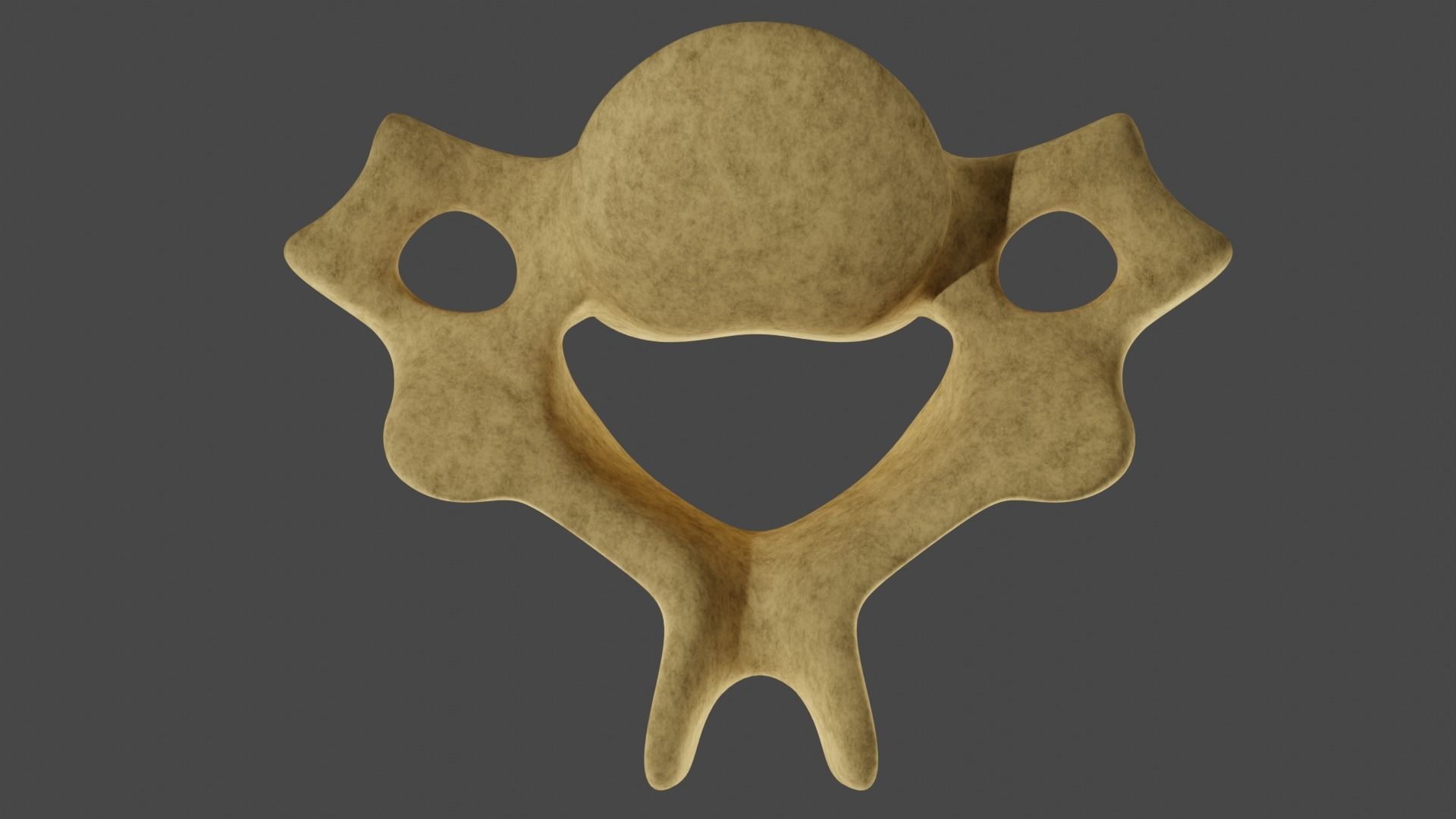 The Fifth Cervial Vertebra 3D model_5