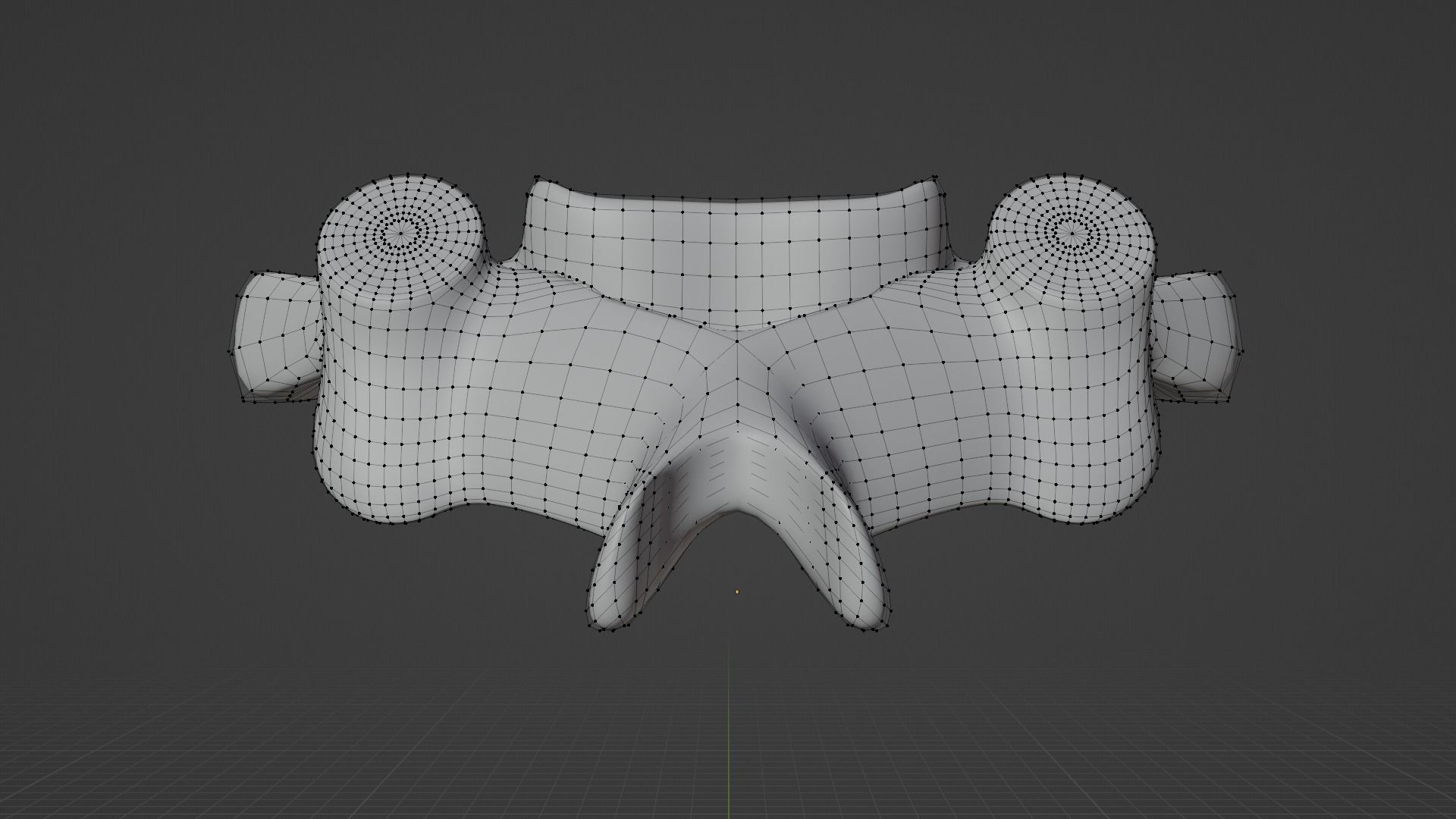 The Fifth Cervial Vertebra 3D model_7
