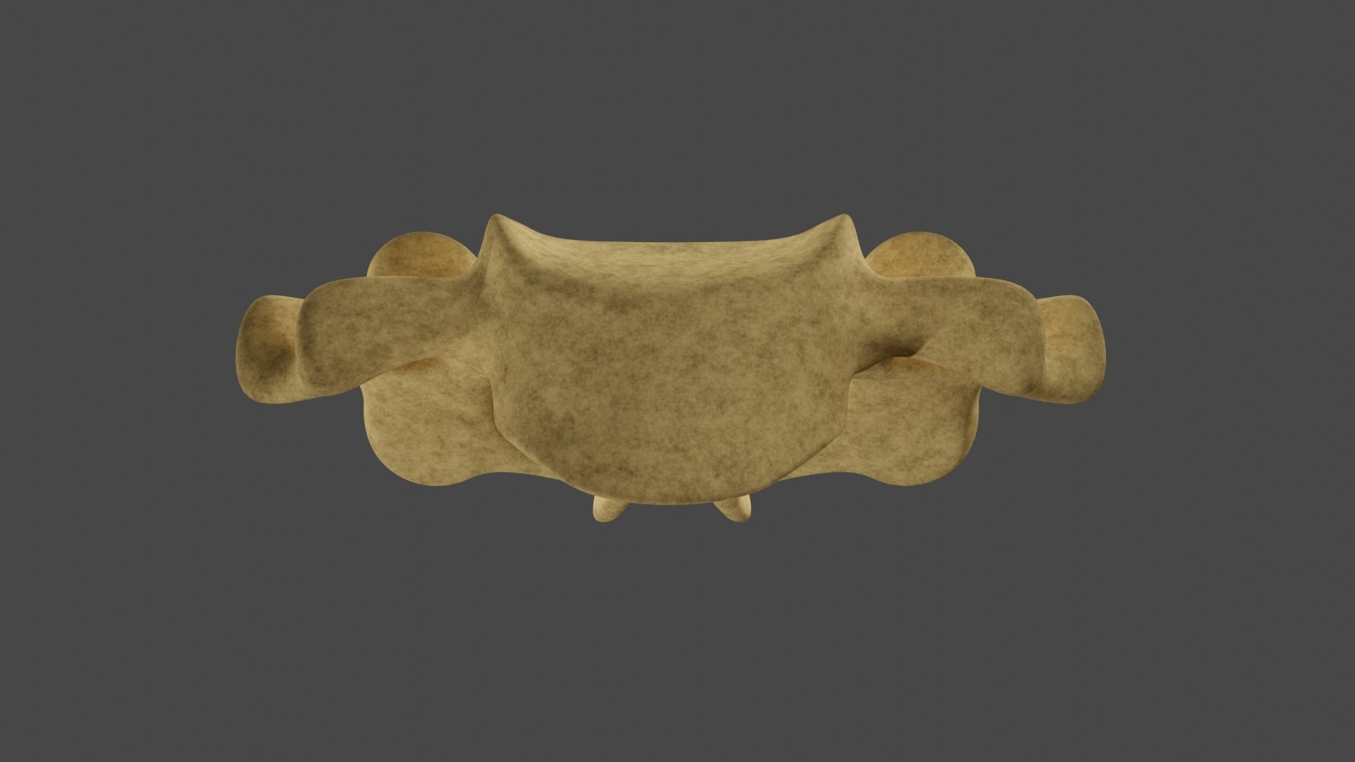 The Fifth Cervial Vertebra 3D model_2