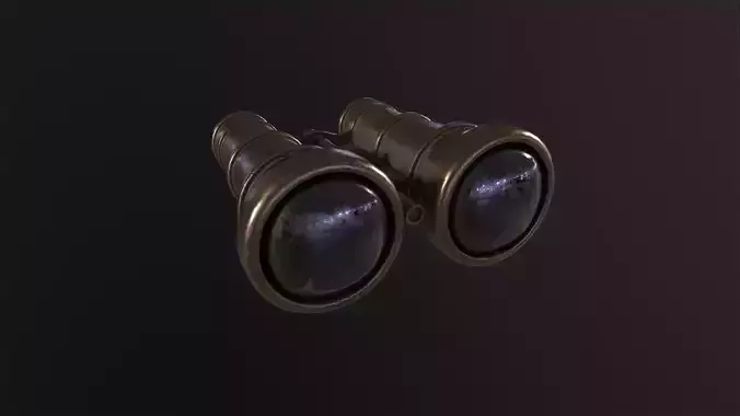 Old Binoculars 3D Model