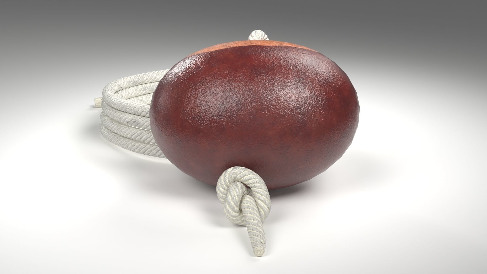 Conker Horse Chestnut - threaded on a string  Low-poly 3D model_5