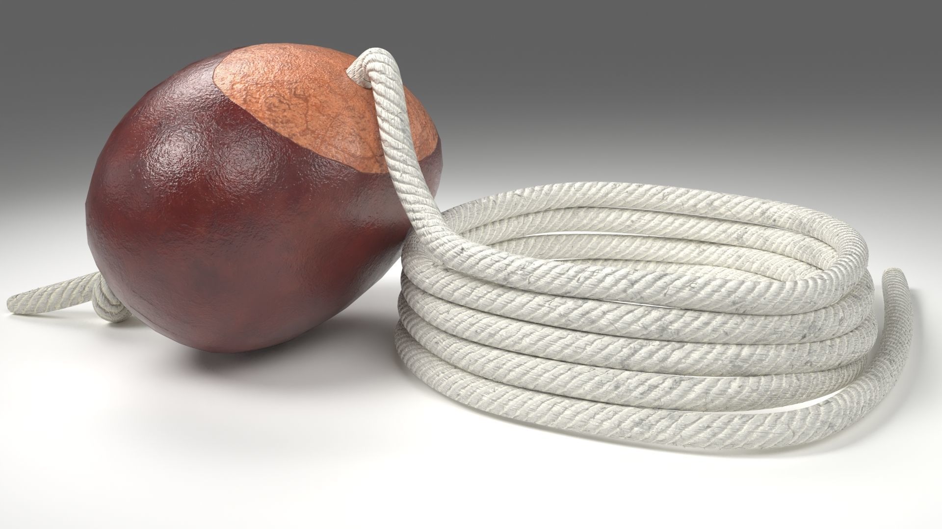 Conker Horse Chestnut - threaded on a string  Low-poly 3D model_2
