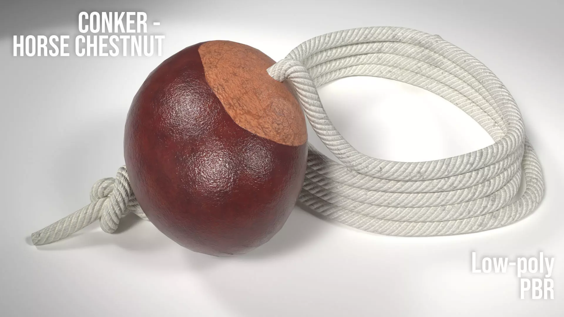 Conker Horse Chestnut - threaded on a string  Low-poly 3D model_0