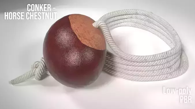 Conker Horse Chestnut - threaded on a string  Low-poly 3D model