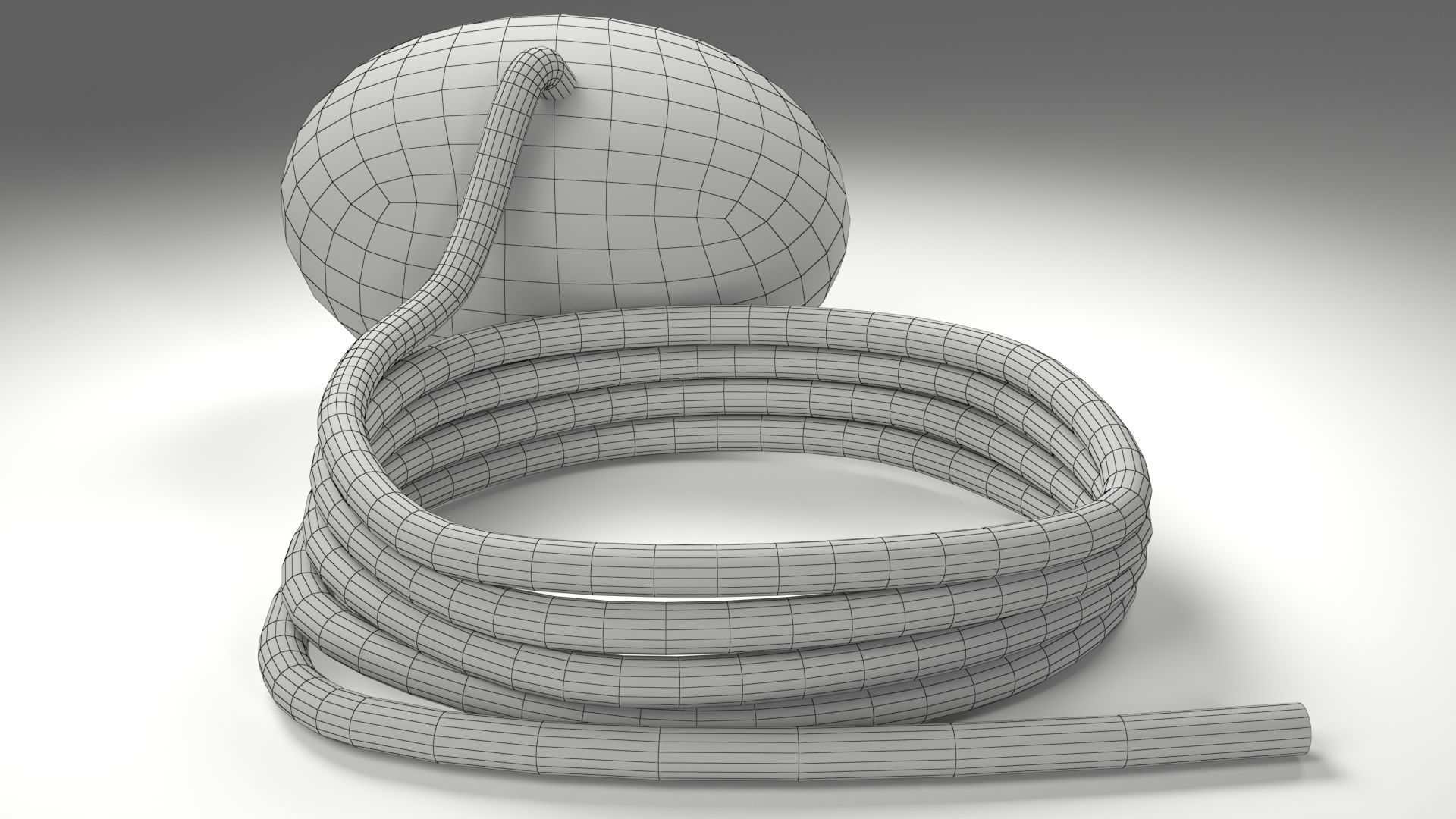 Conker Horse Chestnut - threaded on a string  Low-poly 3D model_7