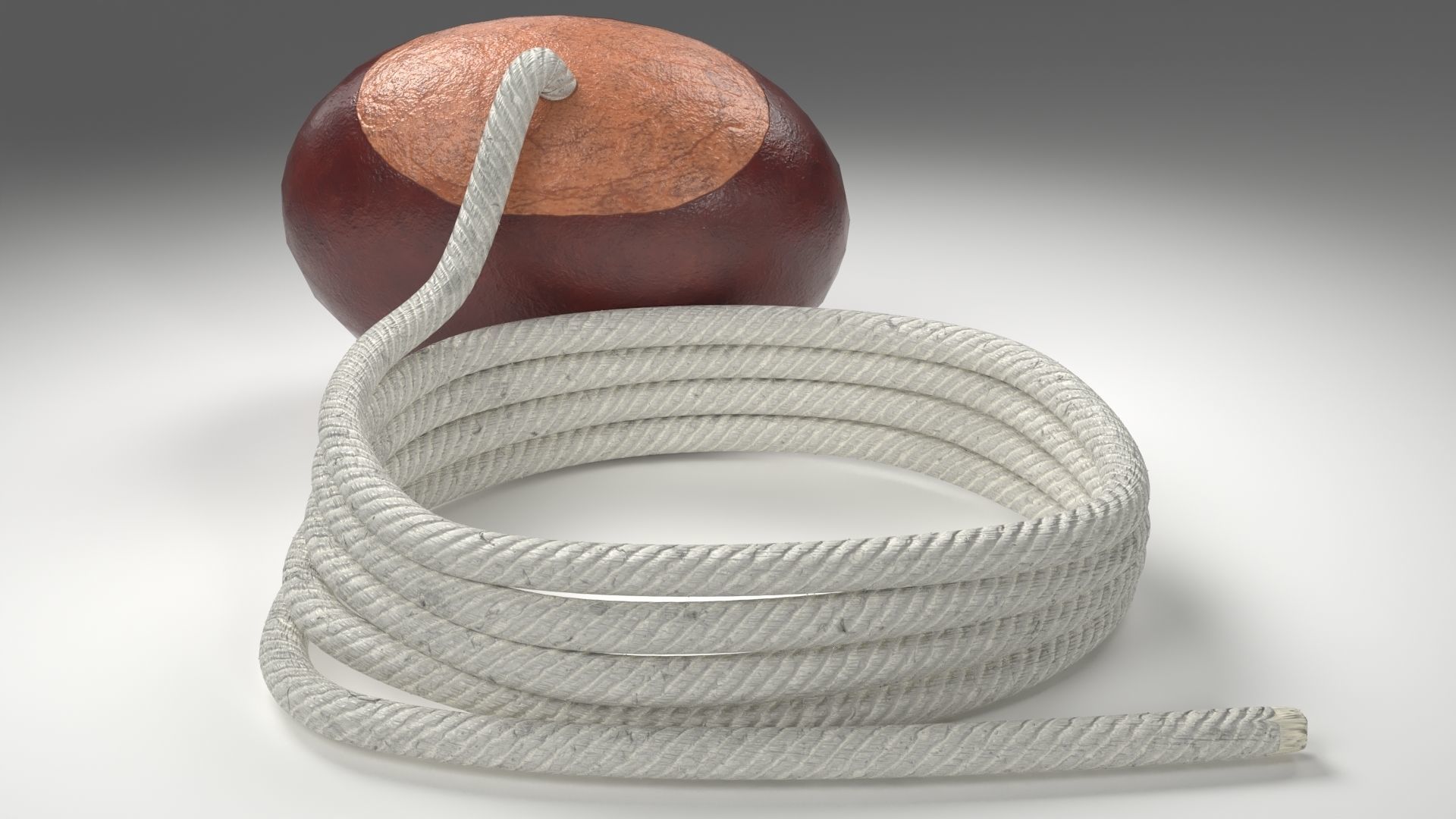 Conker Horse Chestnut - threaded on a string  Low-poly 3D model_6