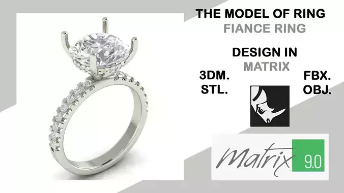 FIANCE model of ring VOL 39 3D print model