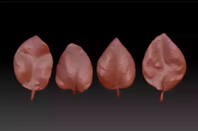 Powder paper fan leaves 3D  powder calyx  petals 3D printing