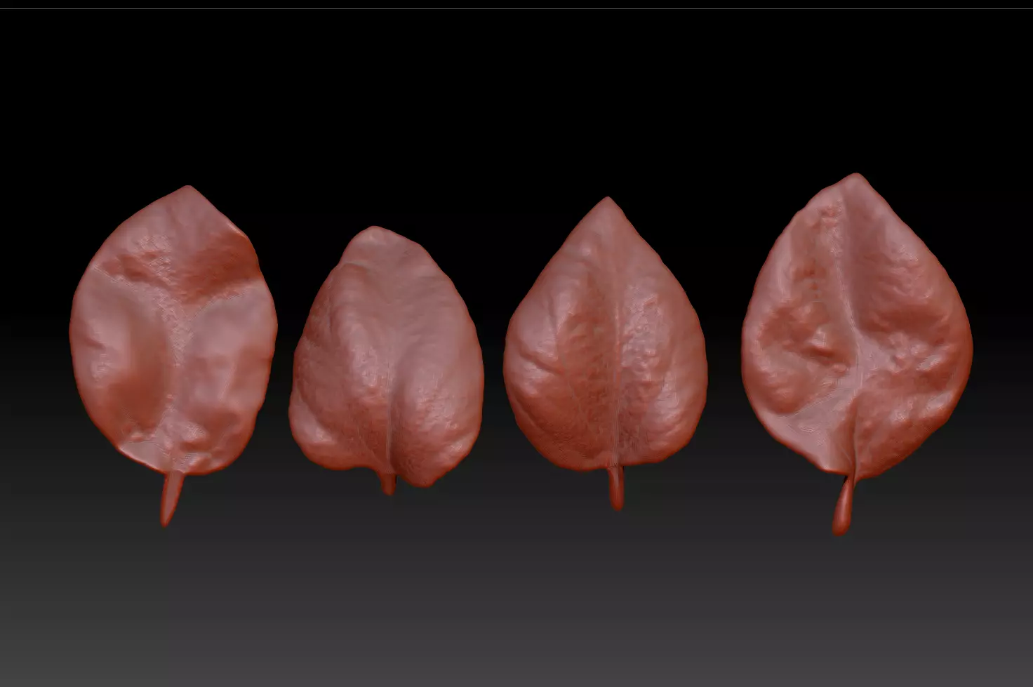 Powder paper fan leaves 3D powder calyx petals 3D printing 3D print model_0