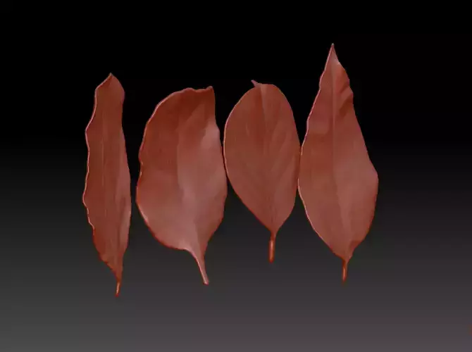 Leaf 3D  leaf sculpture map 3D printed leaves