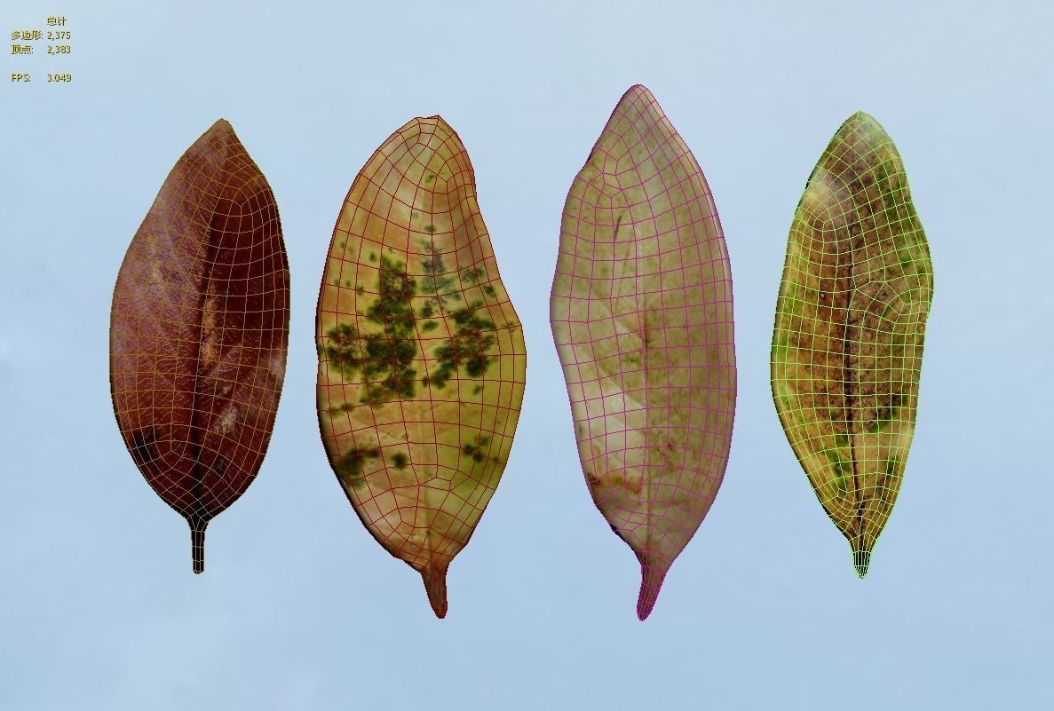 Autumn leaf model Download 3D leaf model Autumn yellow leaf 3D model_4