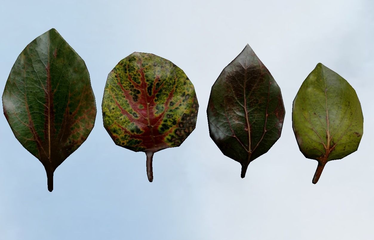 Green leaves CG model game assets plant leaves material 3D model_3