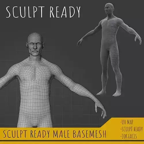 Sculpt ready male basemesh model