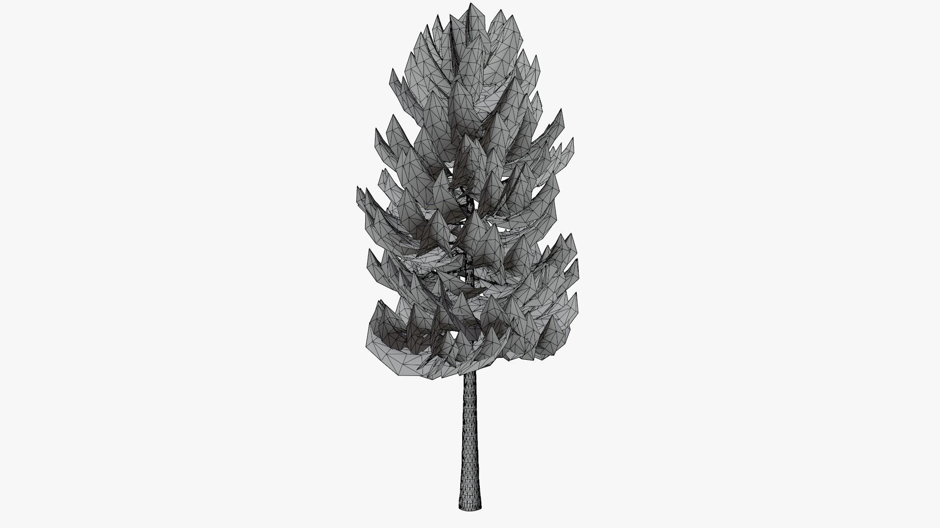 Pine v1 Low-poly 3D model_10