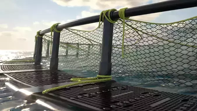 Fish Farm Net Ocean Sustainable Octane 3D model