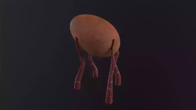 Alien Flora 3D Model Low-poly 3D model