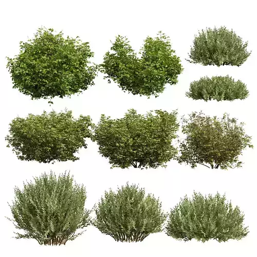 10 different bush 3D model