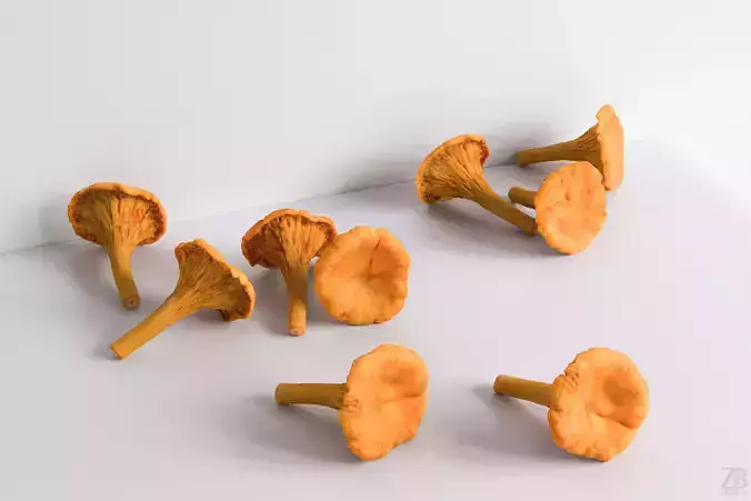 Mushroom