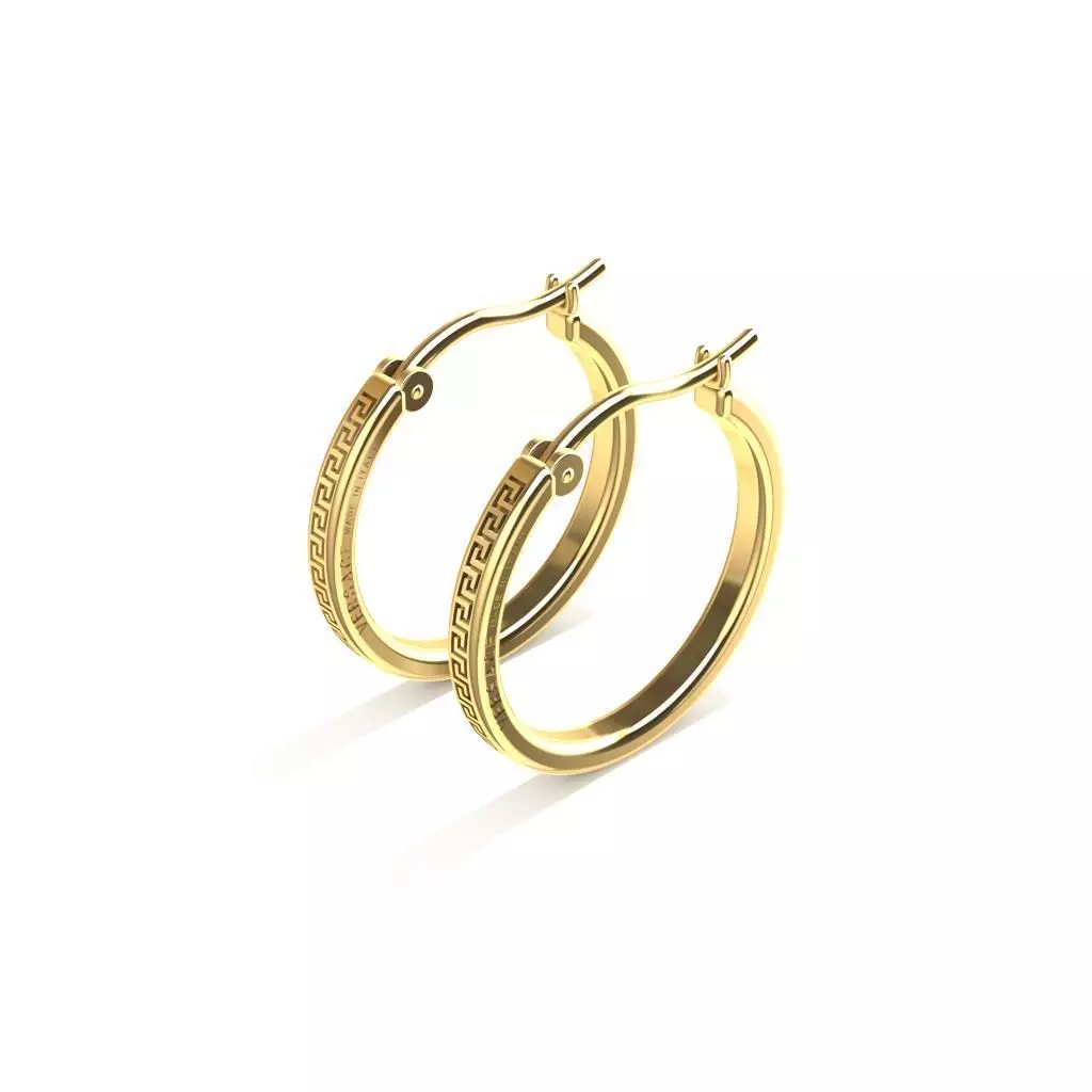 Vsc earrings 3D print model