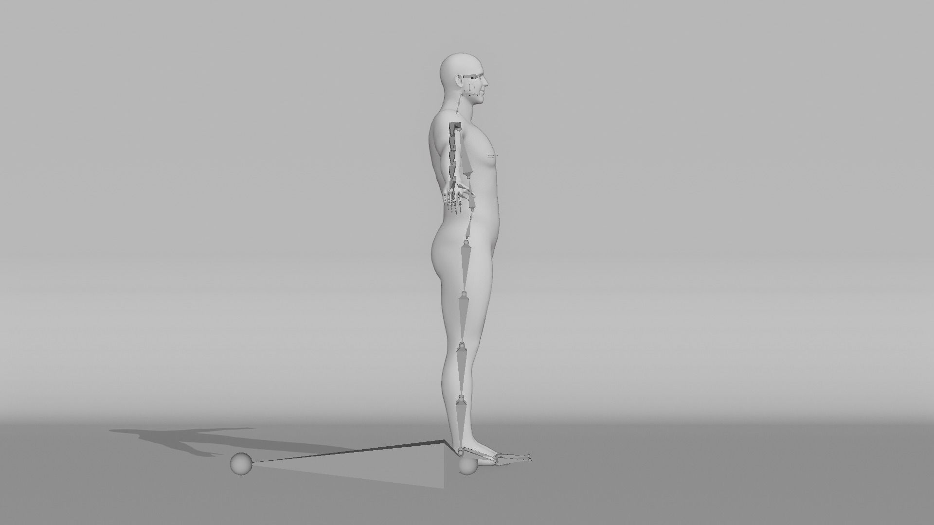 Realistic Male Character - Wayne 3D model_12