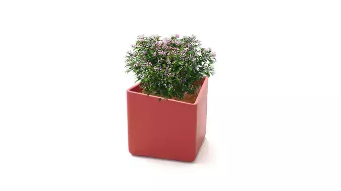 Plant Pot Holder 3D Print Model 9