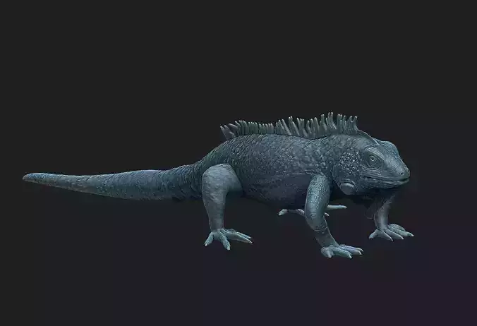 iguana 3D print model