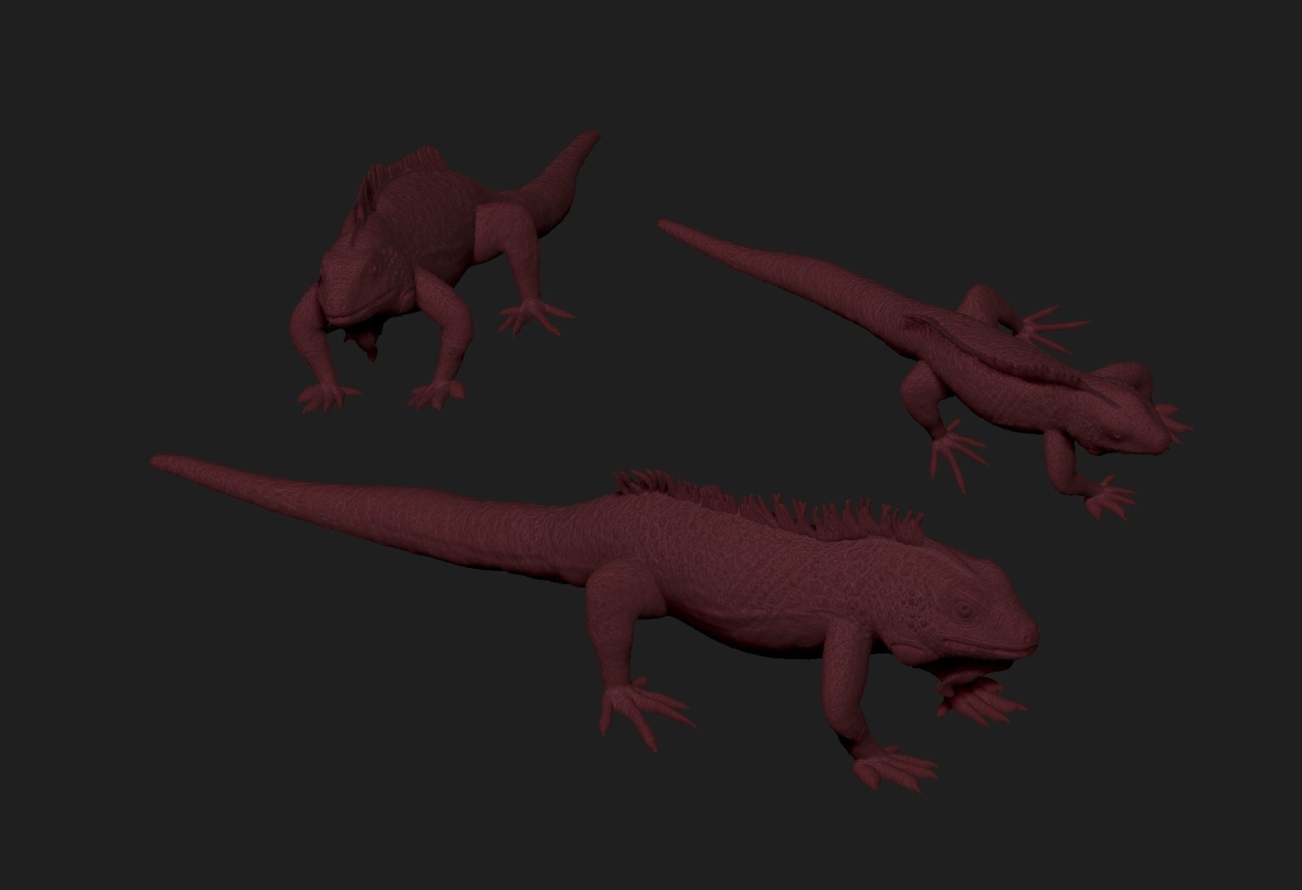 iguana 3D print model_3