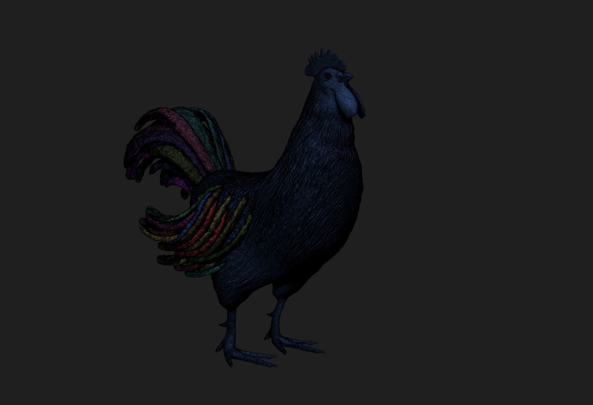 rooster 3D model_3